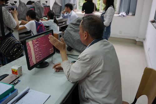 观察小肠显微结构 观察小肠显微结构